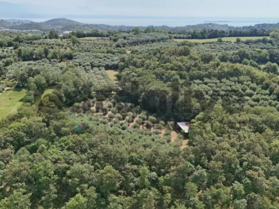 Immagine 25 di Villa in vendita  in strada vicinale delle fontanelle a Calvagese Della Riviera