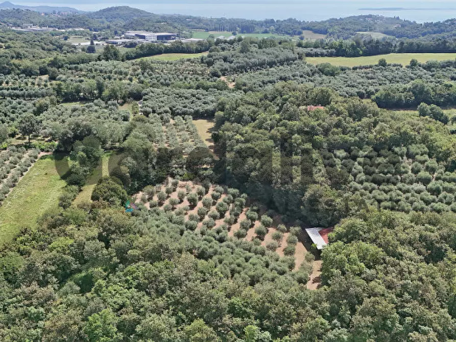 Immagine 26 di Villa in vendita  in strada vicinale delle fontanelle a Calvagese Della Riviera