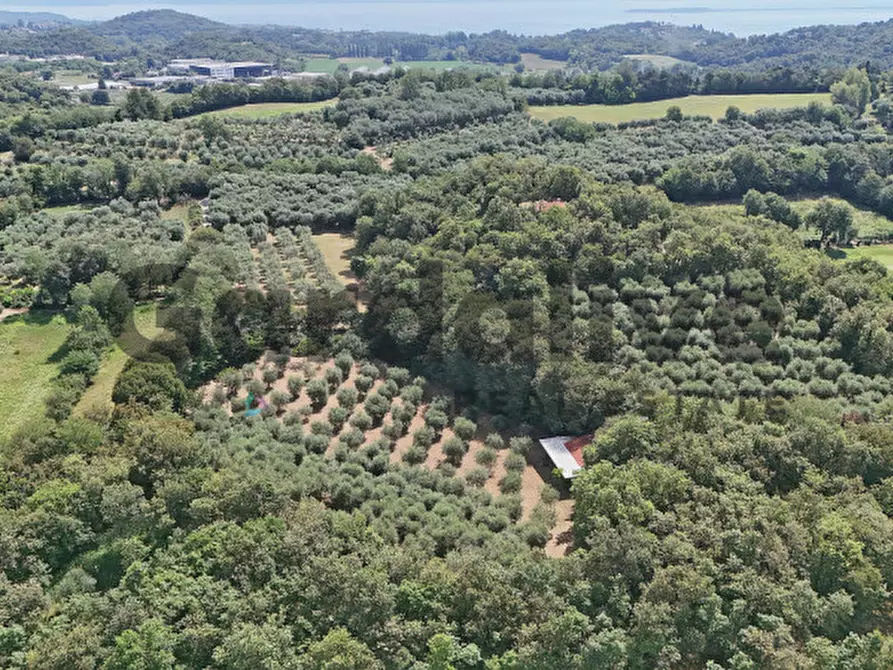 Immagine 27 di Villa in vendita  in strada vicinale delle fontanelle a Calvagese Della Riviera