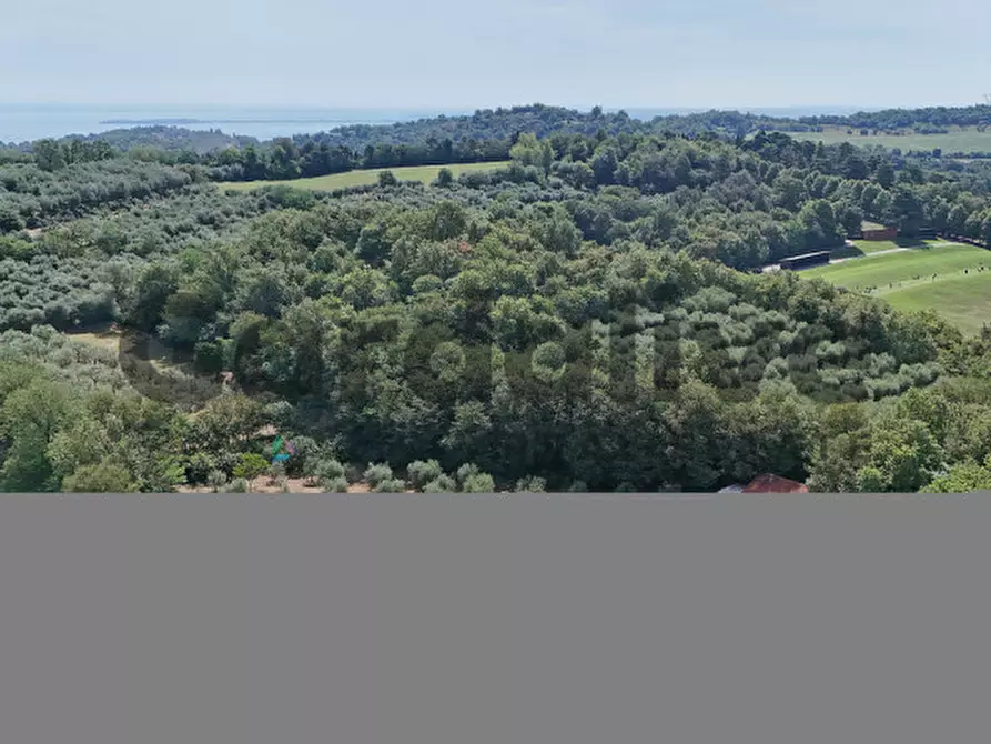 Immagine 29 di Villa in vendita  in strada vicinale delle fontanelle a Calvagese Della Riviera