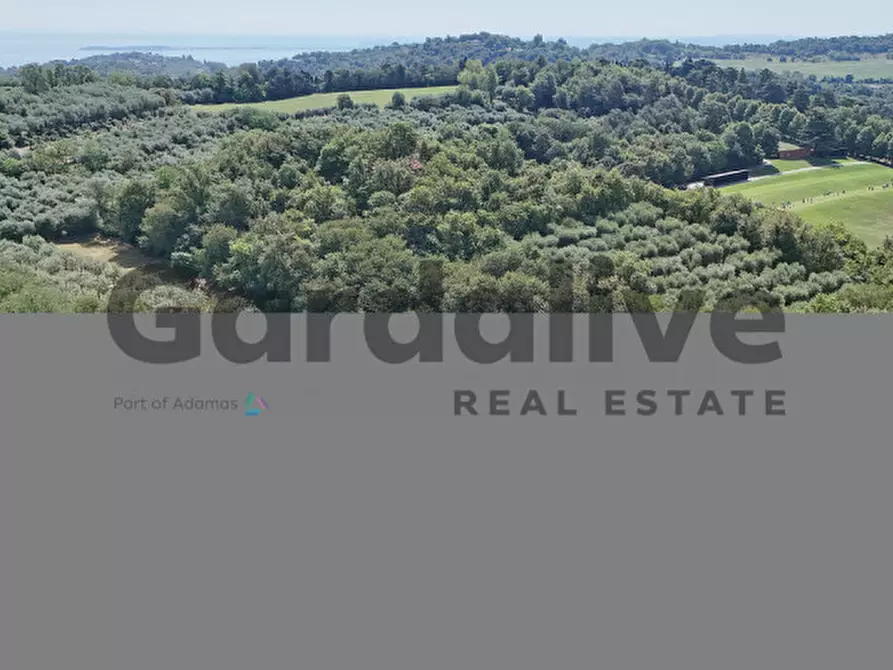 Immagine 30 di Villa in vendita  in strada vicinale delle fontanelle a Calvagese Della Riviera