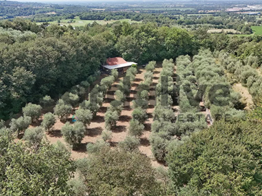 Immagine 32 di Villa in vendita  in strada vicinale delle fontanelle a Calvagese Della Riviera