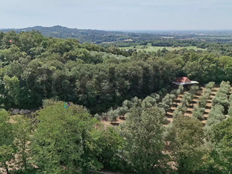 Immagine 34 di Villa in vendita  in strada vicinale delle fontanelle a Calvagese Della Riviera