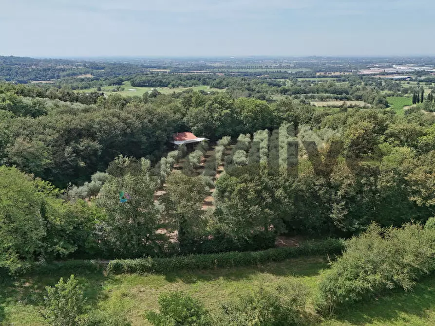 Immagine 36 di Villa in vendita  in strada vicinale delle fontanelle a Calvagese Della Riviera