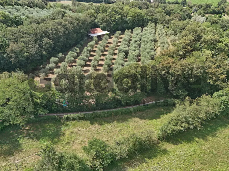 Immagine 38 di Villa in vendita  in strada vicinale delle fontanelle a Calvagese Della Riviera