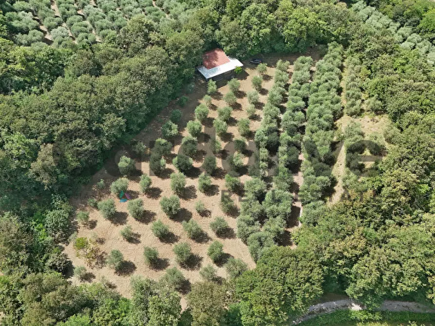 Immagine 39 di Villa in vendita  in strada vicinale delle fontanelle a Calvagese Della Riviera