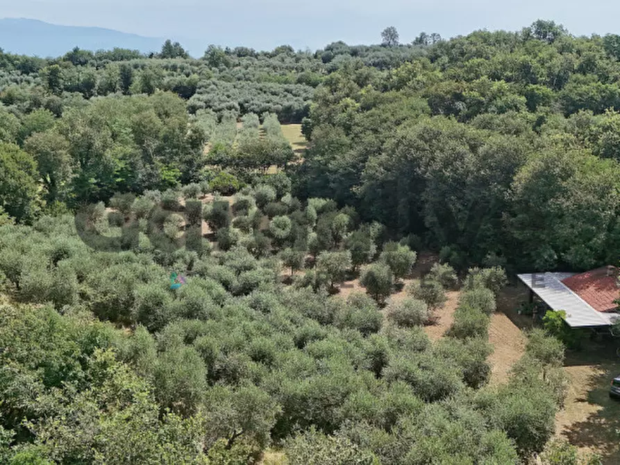 Immagine 41 di Villa in vendita  in strada vicinale delle fontanelle a Calvagese Della Riviera