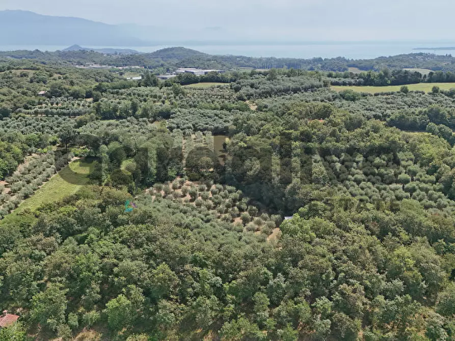 Immagine 42 di Villa in vendita  in strada vicinale delle fontanelle a Calvagese Della Riviera