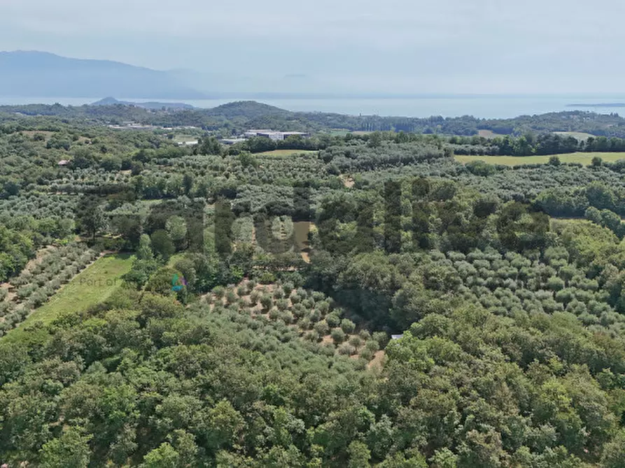 Immagine 43 di Villa in vendita  in strada vicinale delle fontanelle a Calvagese Della Riviera