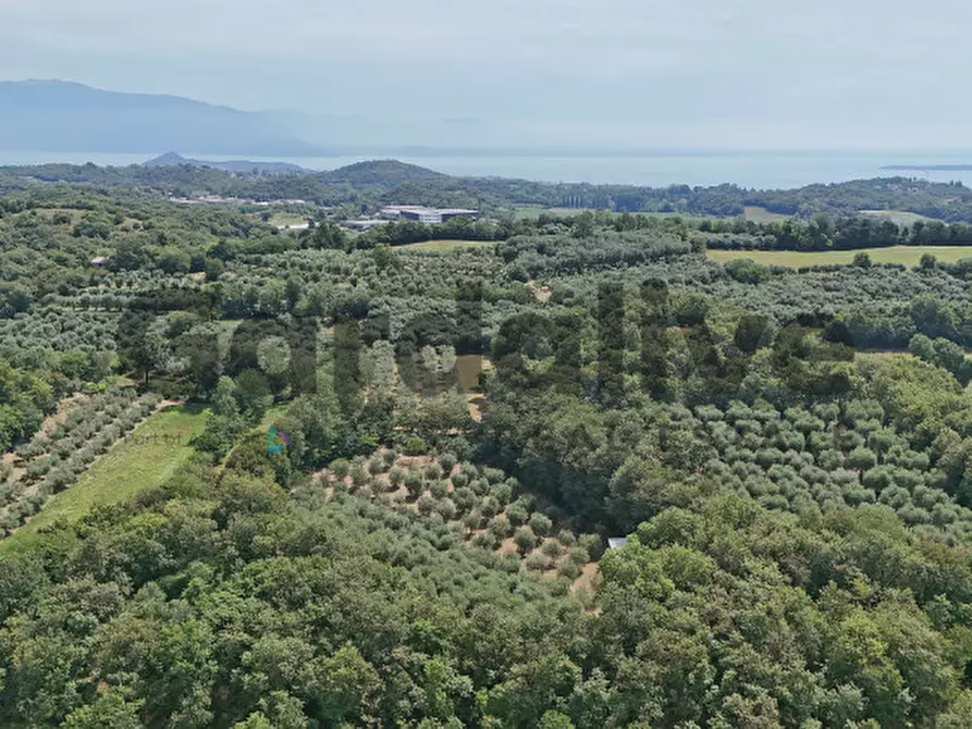 Immagine 44 di Villa in vendita  in strada vicinale delle fontanelle a Calvagese Della Riviera