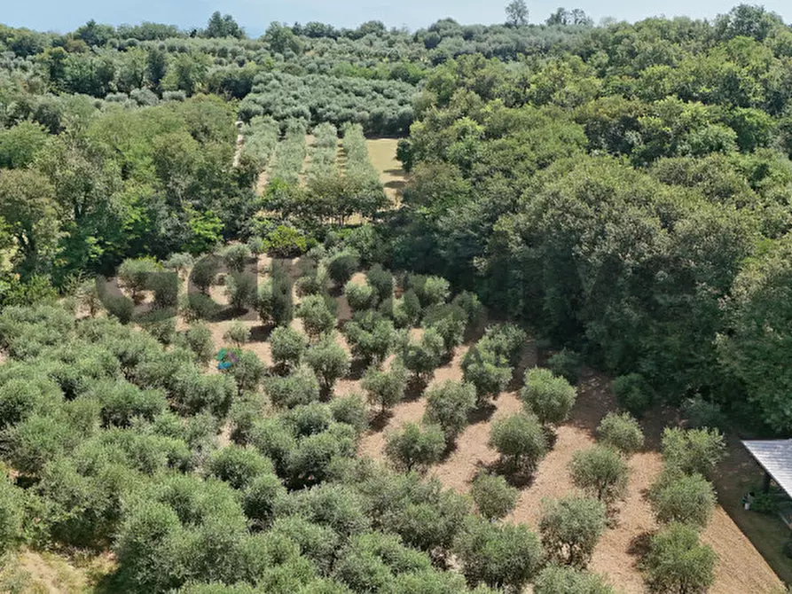 Immagine 45 di Villa in vendita  in strada vicinale delle fontanelle a Calvagese Della Riviera