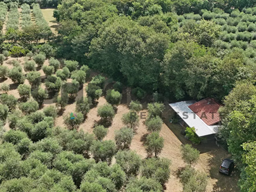 Immagine 46 di Villa in vendita  in strada vicinale delle fontanelle a Calvagese Della Riviera