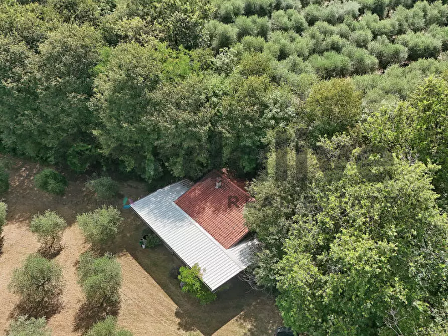 Immagine 47 di Villa in vendita  in strada vicinale delle fontanelle a Calvagese Della Riviera