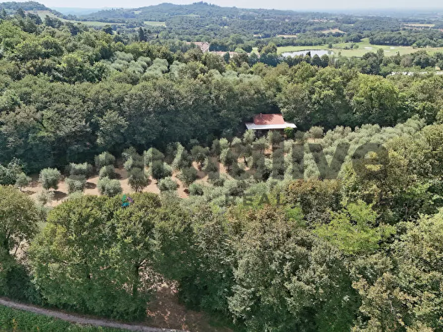 Immagine 49 di Villa in vendita  in strada vicinale delle fontanelle a Calvagese Della Riviera