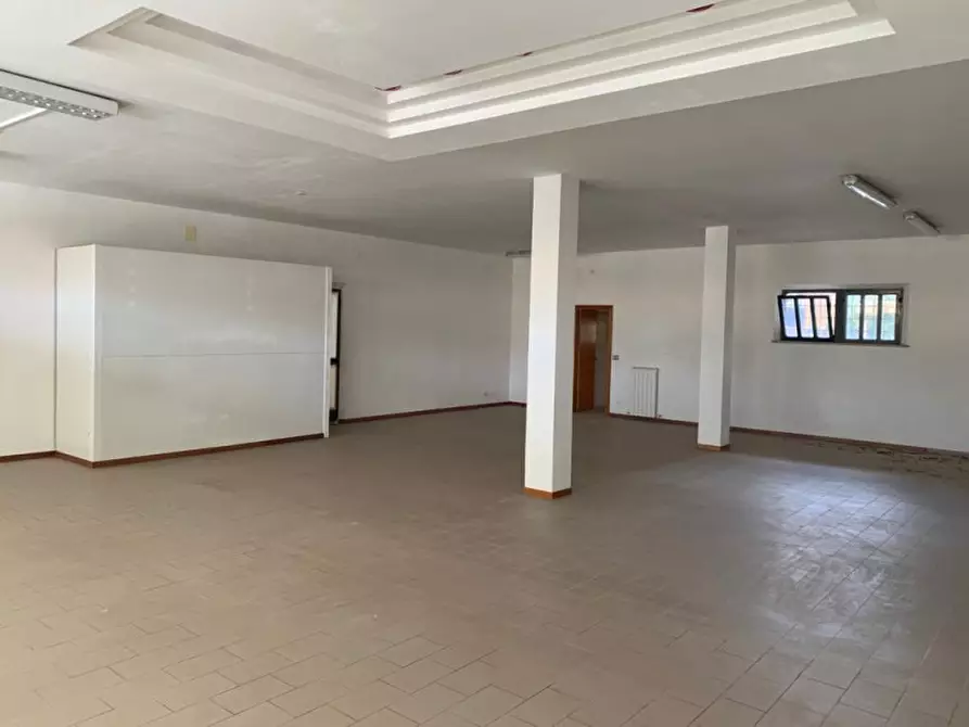 Immagine 4 di Attività commerciale in vendita  a Torrita Di Siena