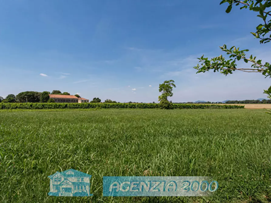 Immagine 3 di Terreno in vendita  in Via Caneva 10 a Bovolenta