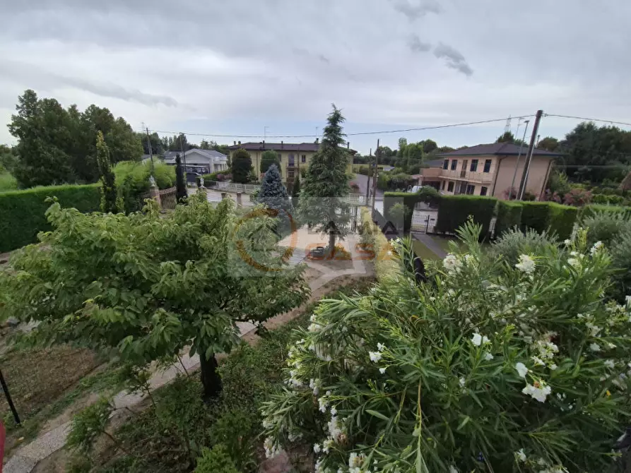 Immagine 2 di Casa bifamiliare in affitto  in Via Sabbioncello a Saonara