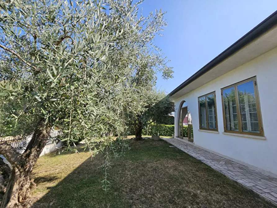 Immagine 11 di Casa indipendente in vendita  in VIA FRANCESCO MINORELLO a Este