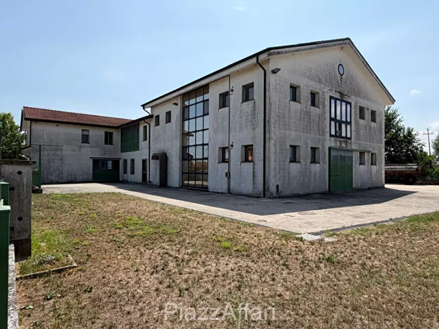 Immagine 3 di Capannone industriale in vendita  in Codevigo a Codevigo