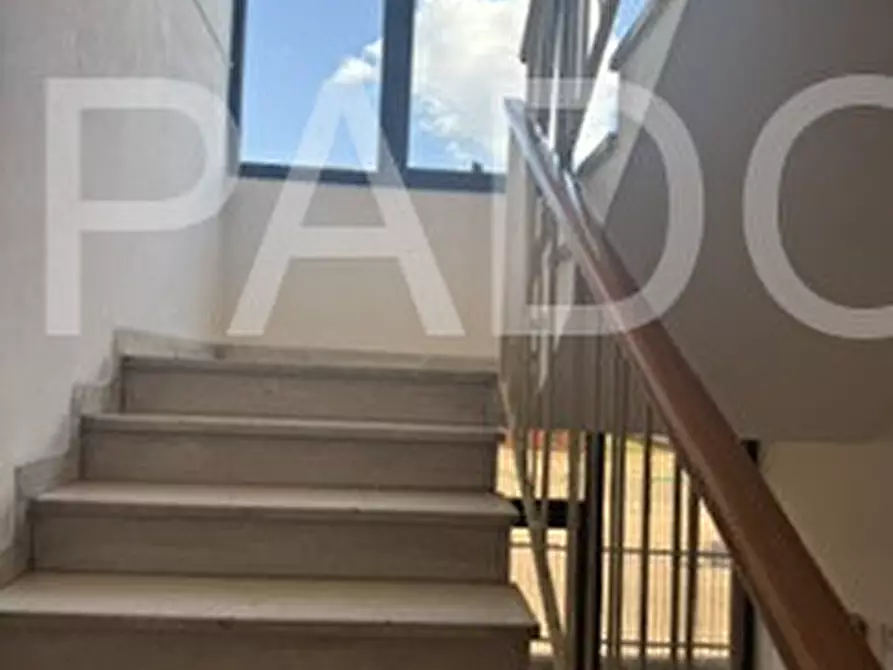 Immagine 8 di Appartamento in affitto  a Padova