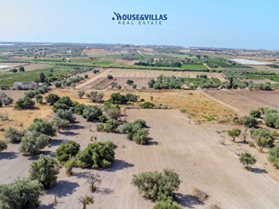 Immagine 2 di Terreno in vendita  in maccari noto a Noto