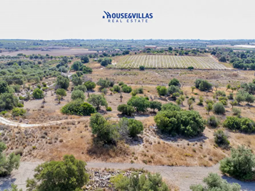Immagine 3 di Terreno in vendita  in maccari noto a Noto