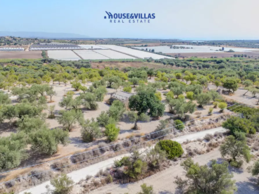 Immagine 4 di Terreno in vendita  in maccari noto a Noto