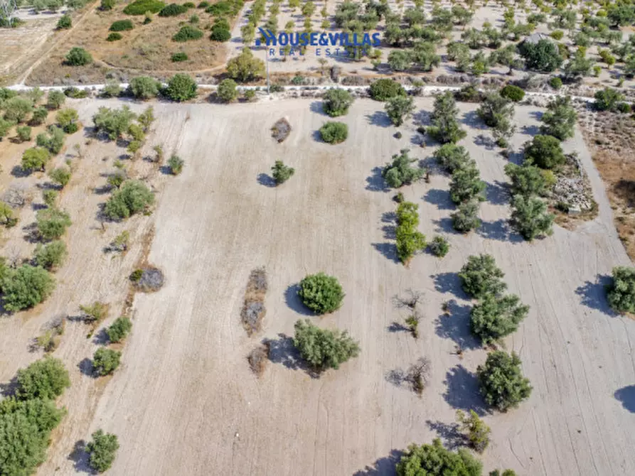 Immagine 5 di Terreno in vendita  in maccari noto a Noto