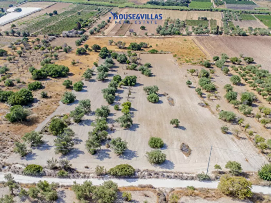 Immagine 6 di Terreno in vendita  in maccari noto a Noto