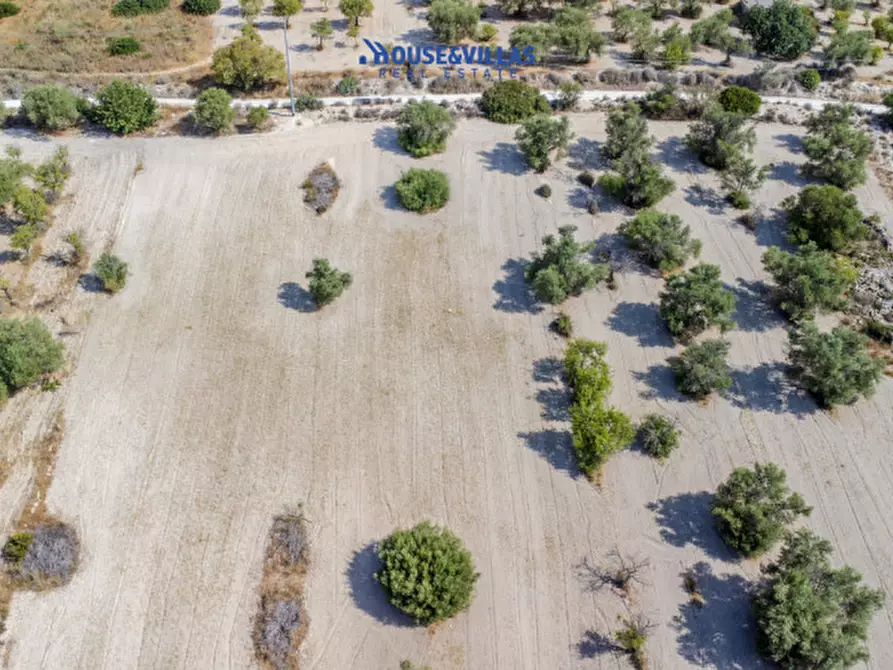 Immagine 8 di Terreno in vendita  in maccari noto a Noto
