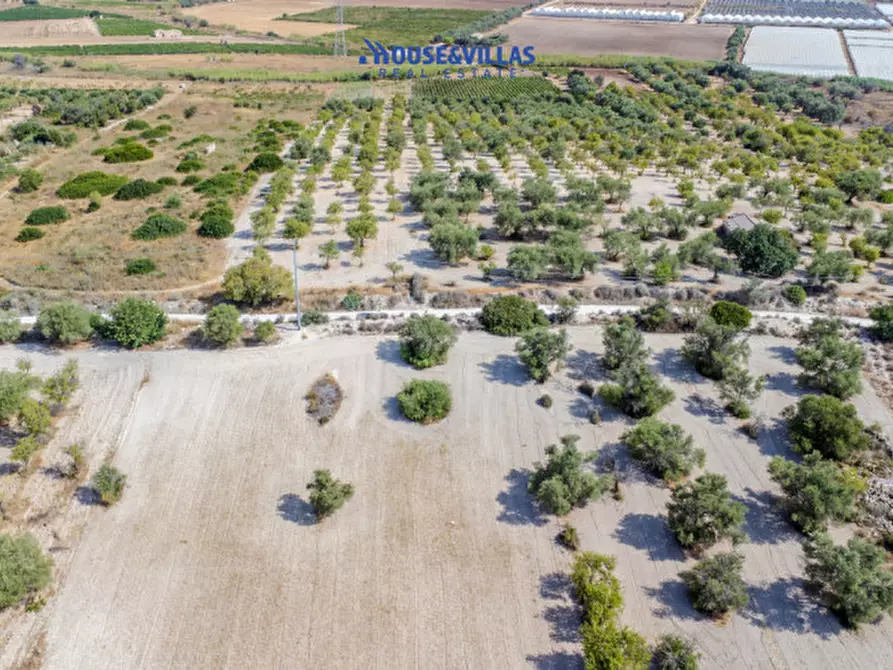 Immagine 9 di Terreno in vendita  in maccari noto a Noto