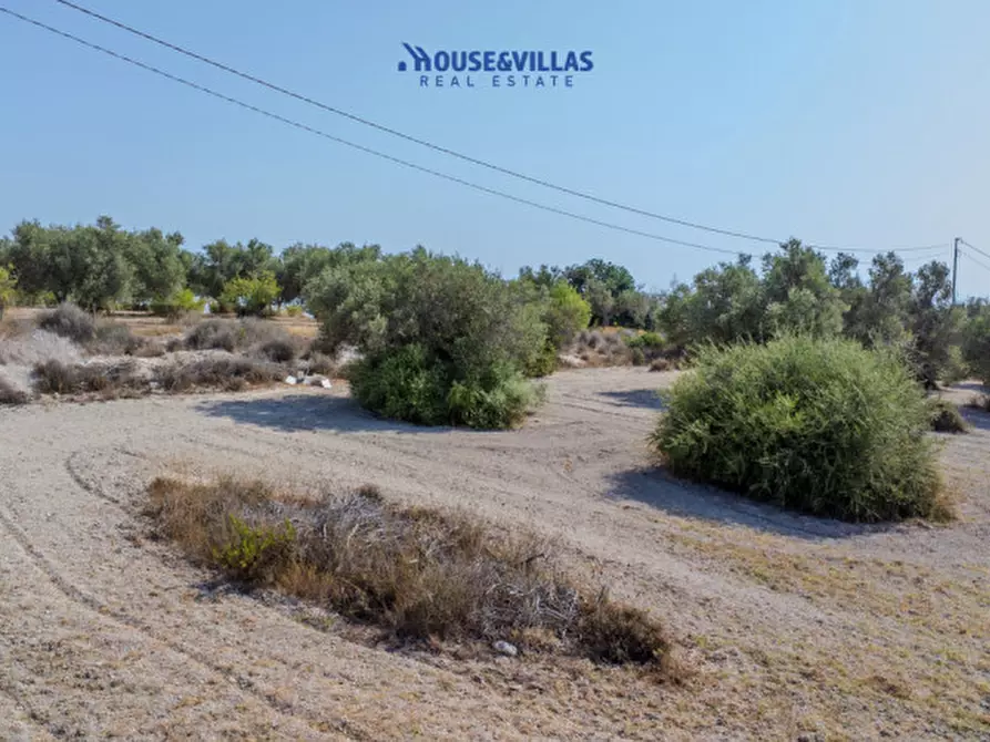 Immagine 14 di Terreno in vendita  in maccari noto a Noto