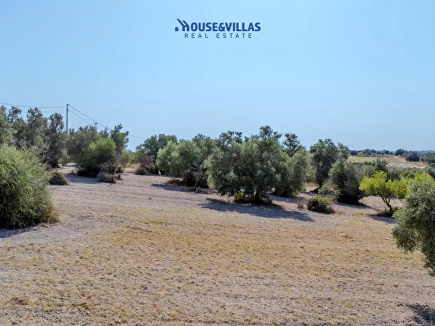 Immagine 15 di Terreno in vendita  in maccari noto a Noto