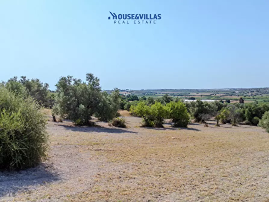Immagine 16 di Terreno in vendita  in maccari noto a Noto