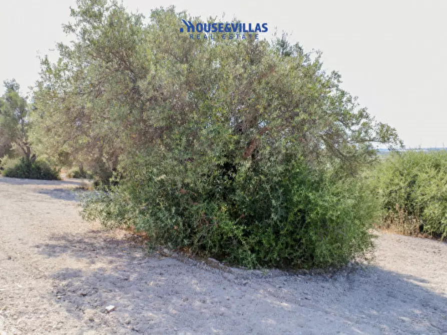 Immagine 18 di Terreno in vendita  in maccari noto a Noto