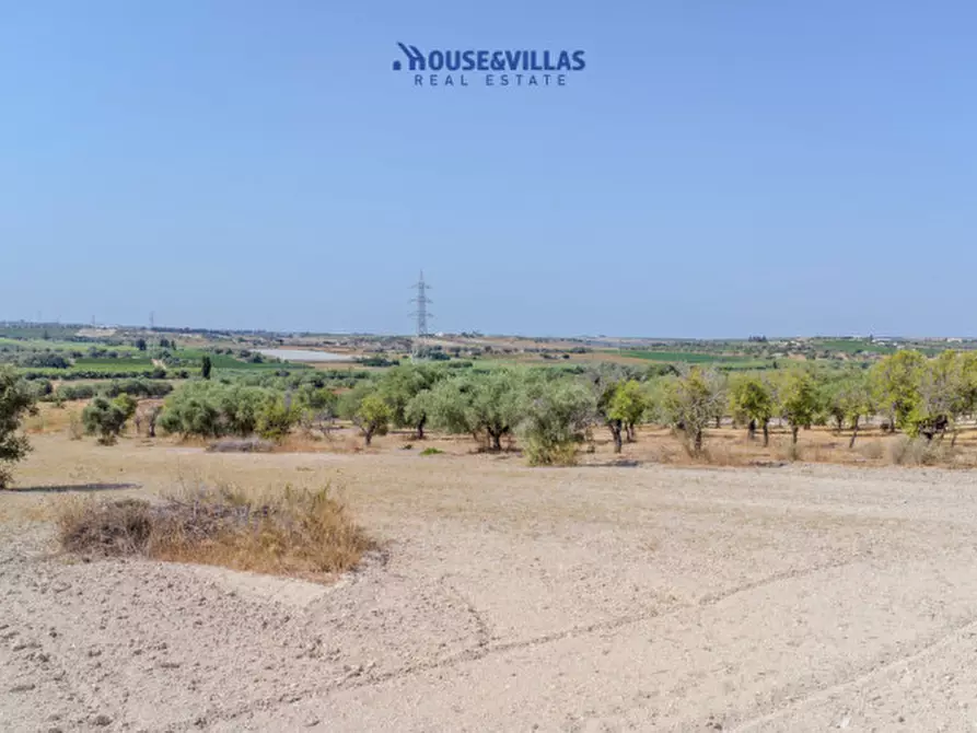 Immagine 19 di Terreno in vendita  in maccari noto a Noto