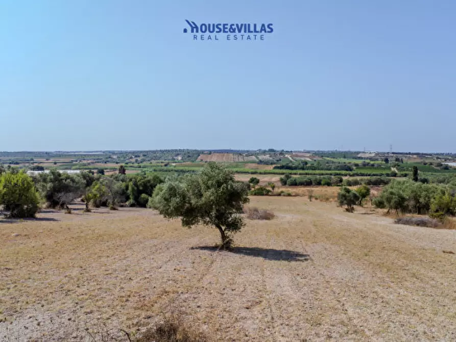 Immagine 20 di Terreno in vendita  in maccari noto a Noto