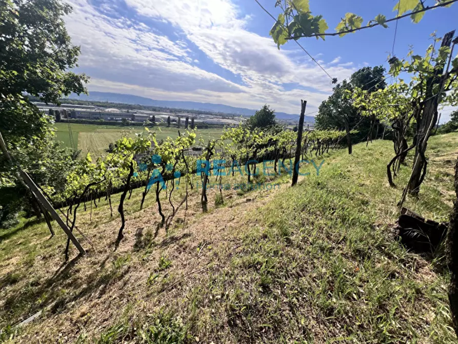 Immagine 7 di Terreno in vendita  in Via Marangoni 4 a Zermeghedo