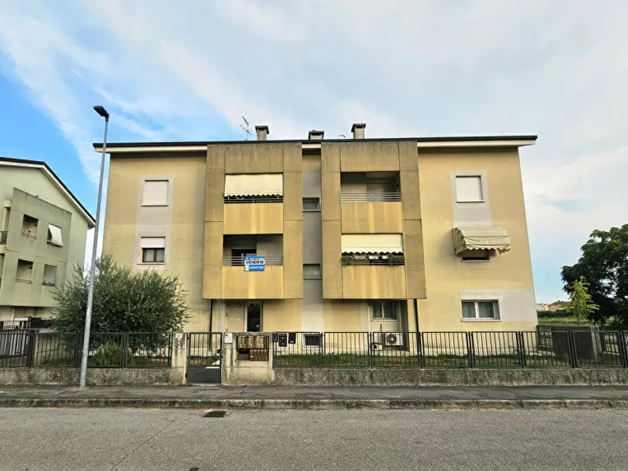 Immagine 5 di Appartamento in vendita  in Viale della Libertà a Solesino