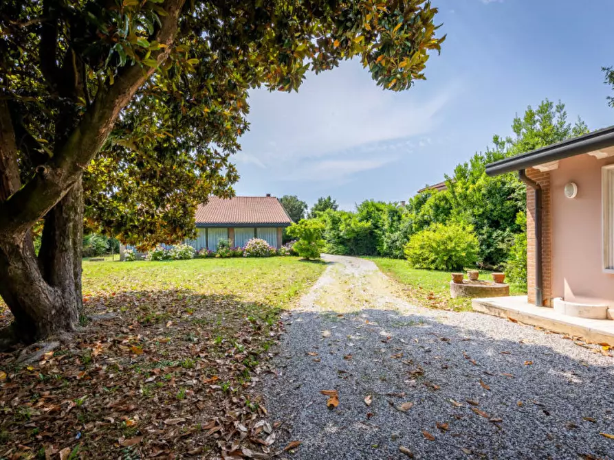 Immagine 41 di Villa in vendita  in via Barbariga Paluello 1 a Stra