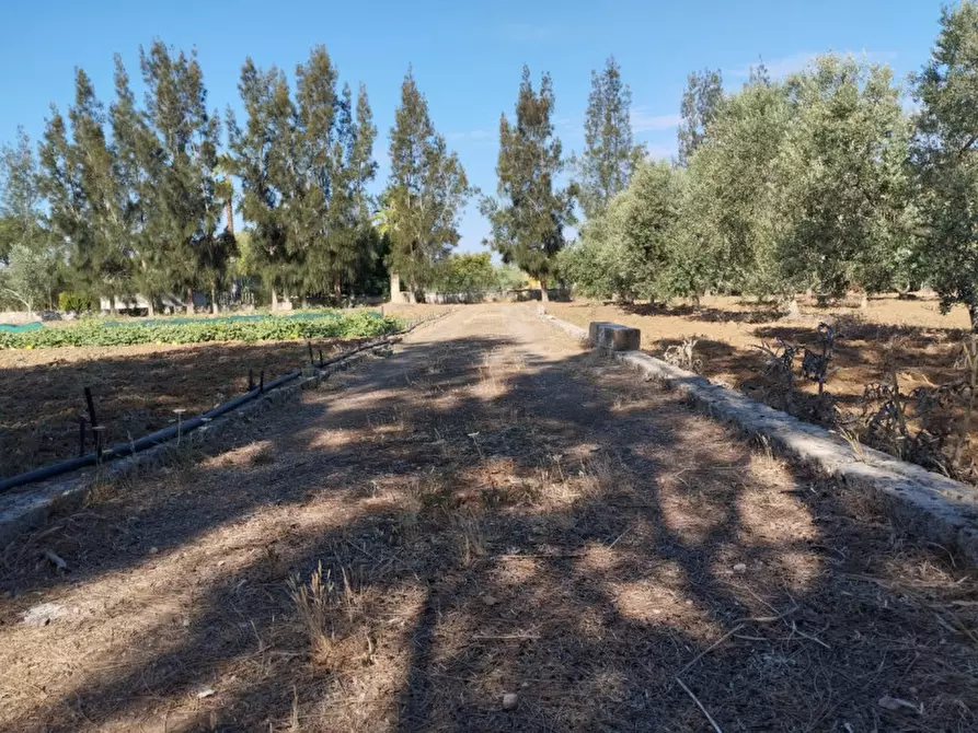 Immagine 1 di Terreno in vendita  in Contrada Rosco a Parabita