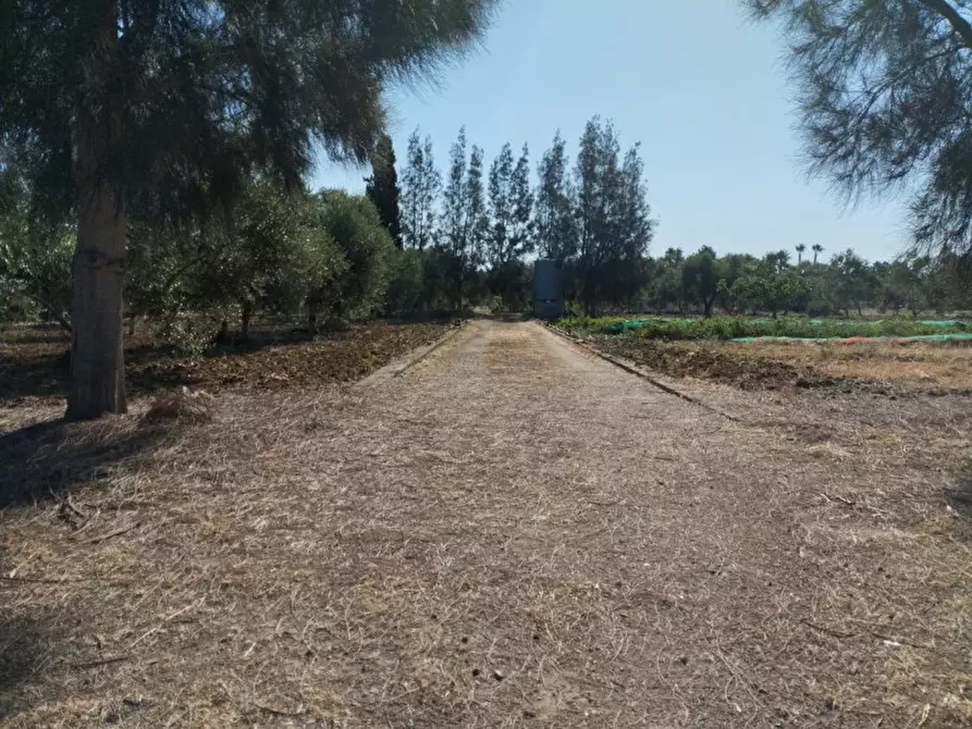 Immagine 2 di Terreno in vendita  in Contrada Rosco a Parabita
