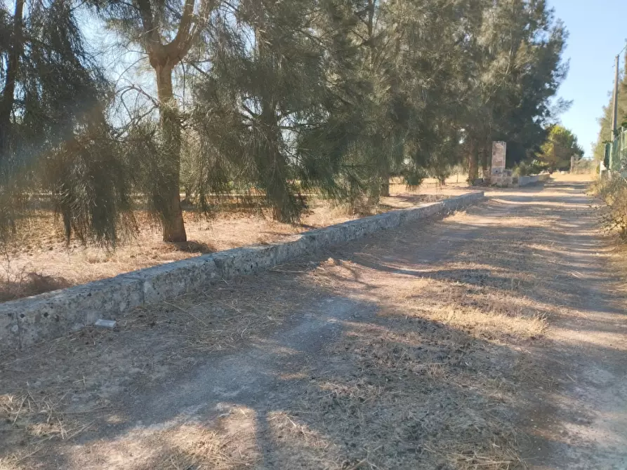 Immagine 4 di Terreno in vendita  in Contrada Rosco a Parabita