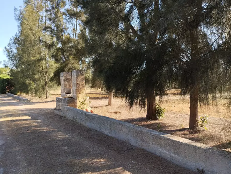 Immagine 6 di Terreno in vendita  in Contrada Rosco a Parabita