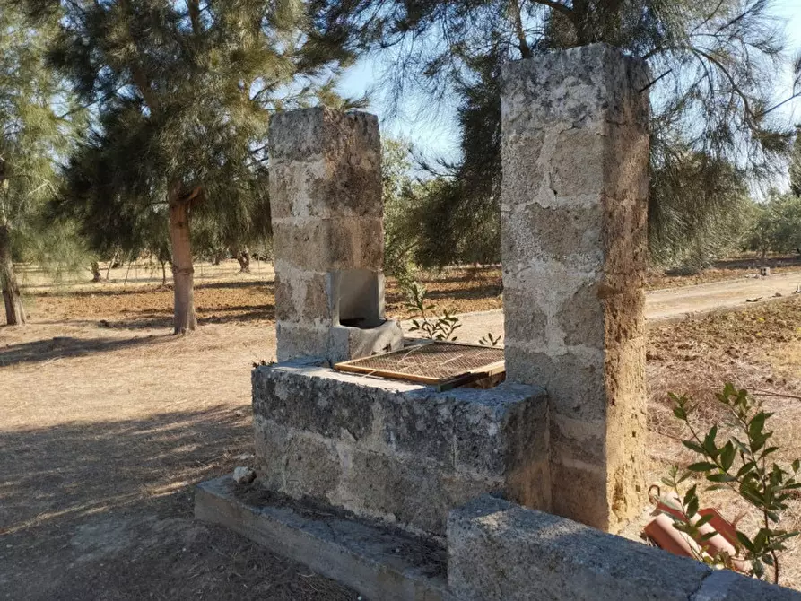 Immagine 9 di Terreno in vendita  in Contrada Rosco a Parabita