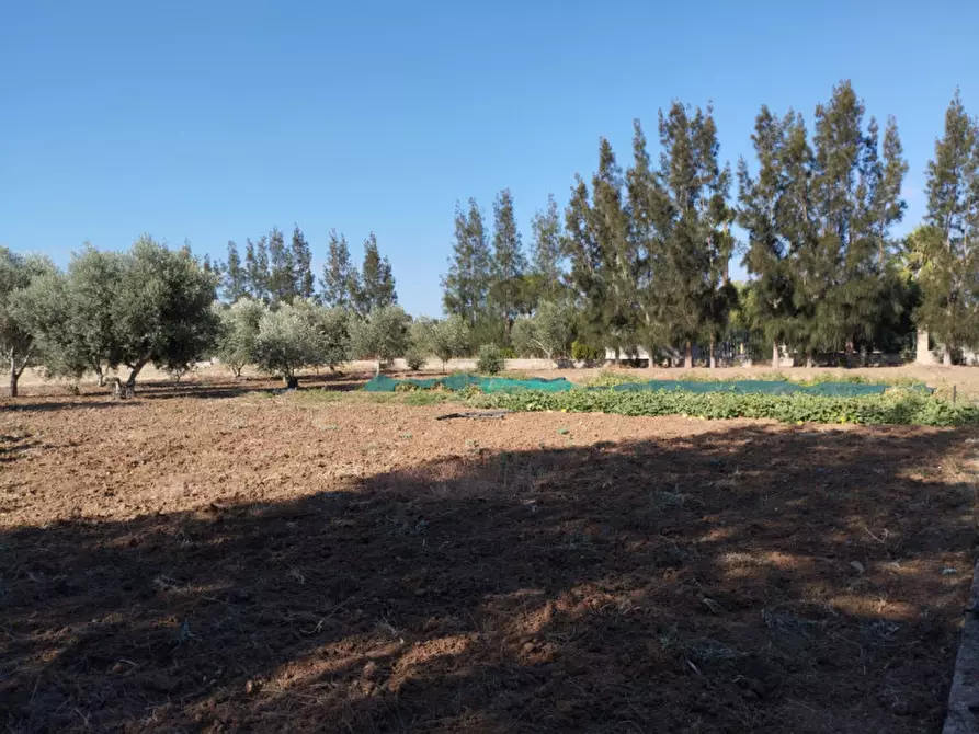 Immagine 12 di Terreno in vendita  in Contrada Rosco a Parabita