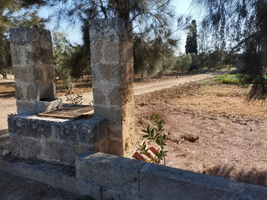 Immagine 14 di Terreno in vendita  in Contrada Rosco a Parabita