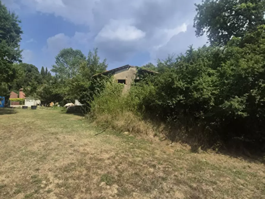 Immagine 2 di Rustico / casale in vendita  in cicogna a Terranuova Bracciolini