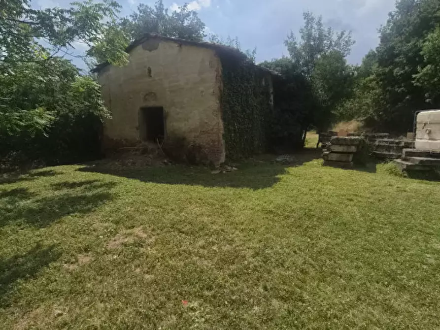Immagine 3 di Rustico / casale in vendita  in cicogna a Terranuova Bracciolini