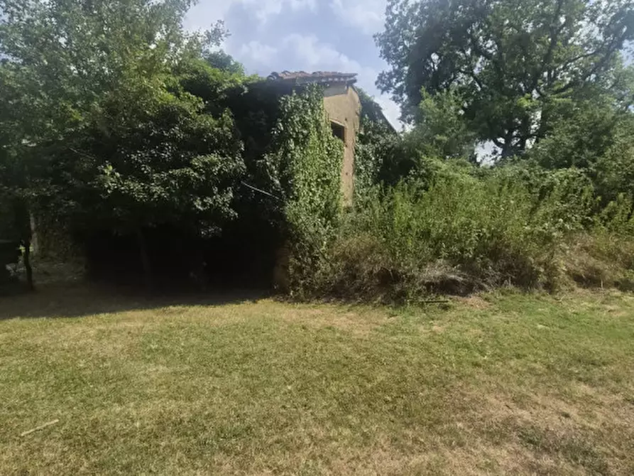 Immagine 4 di Rustico / casale in vendita  in cicogna a Terranuova Bracciolini